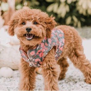 Preloved, Lucy & Co. Petal Power Reversible Dog Puffer Vest